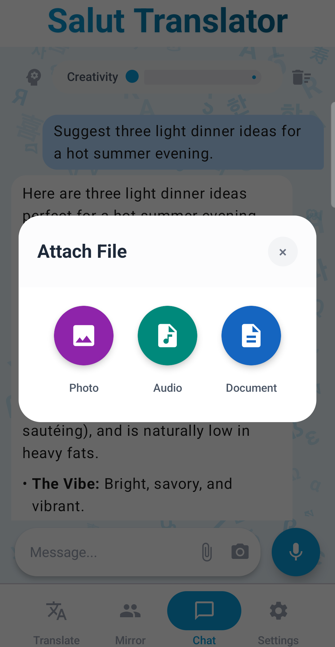 Chat attach menu showing camera, gallery, audio and document options